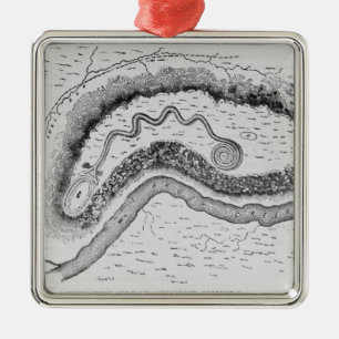 The Great Serpent Mound Metal Tree Decoration