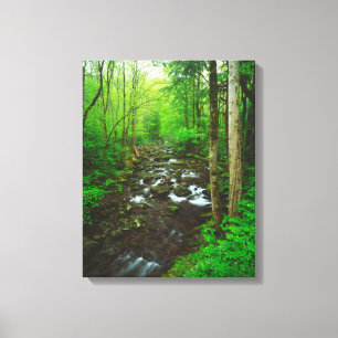 The Great Smoky Mountains Canvas Print