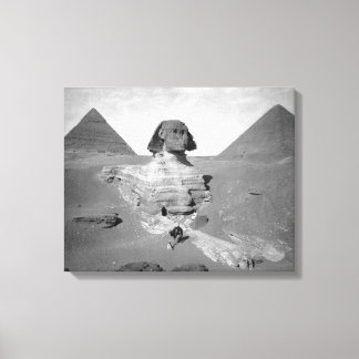 The Great Sphinx & Pyramids, 1878 Canvas Print