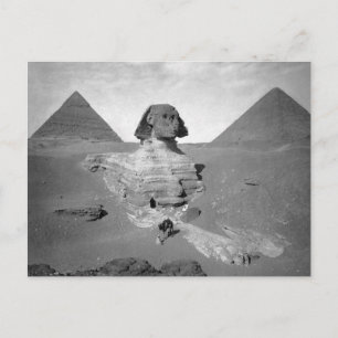 The Great Sphinx & Pyramids, 1878 Postcard