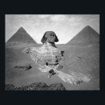 The Great Sphinx & Pyramids, 1878. Vintage Photo Poster<br><div class="desc">The Great Sphinx of Giza partially excavated with two pyramids in the background. Circa 1878.</div>