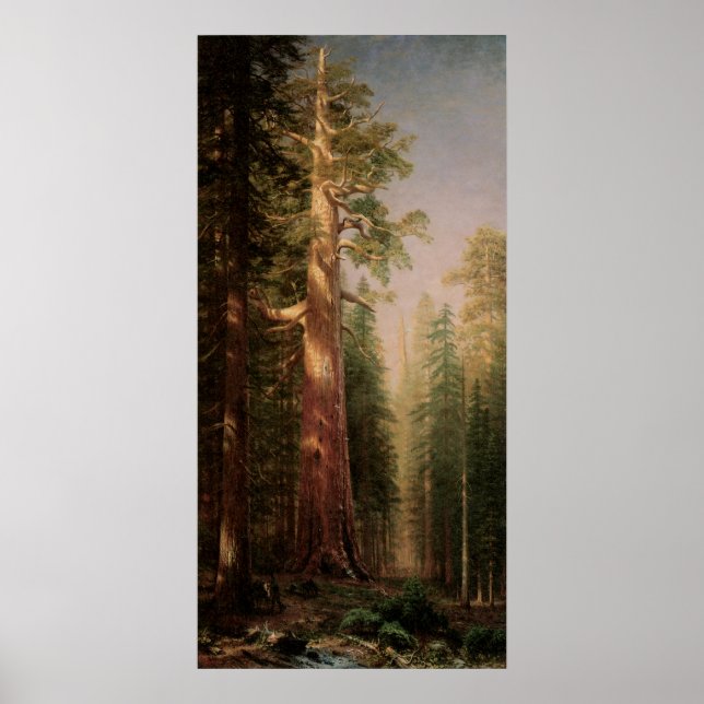 The Great Trees, Mariposa Grove, CA by Bierstadt Poster (Front)