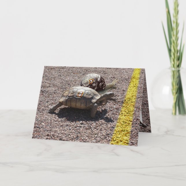 The Great Turtle and Snail Race Card (Front)