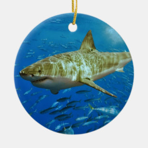The Great White Shark Carcharodon Carcharias Ceramic Tree Decoration