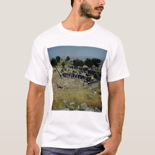 The Greek theatre T-Shirt