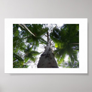 The Green Above Australia Colour Photography Poster