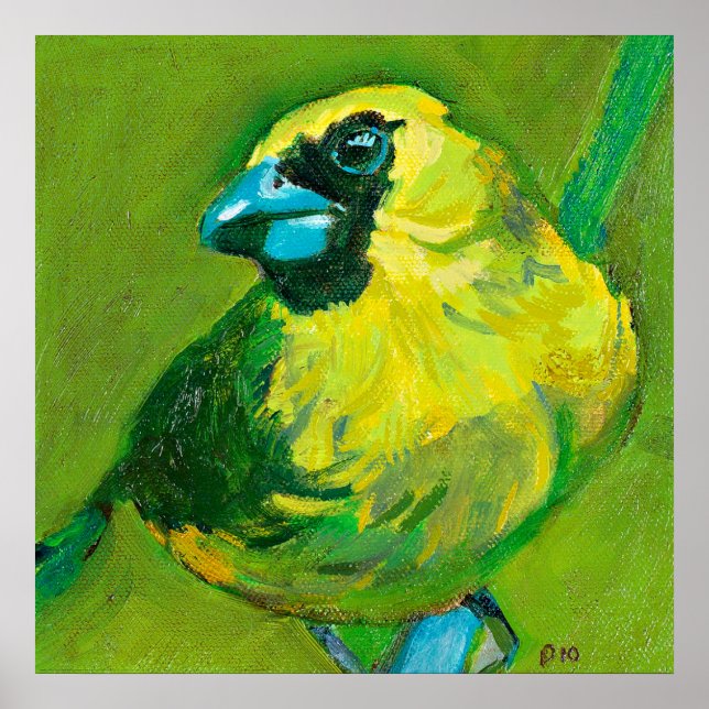 The Green Bird With The Blue Beak Poster (Front)