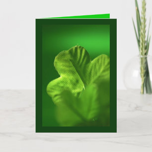 The Green Clover - Holiday Card