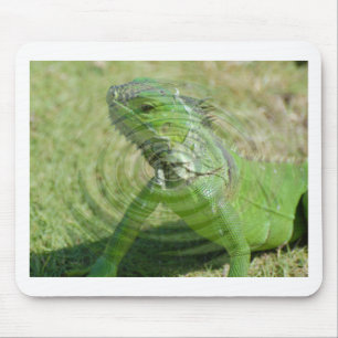 The Green Iguana Mouse Mat