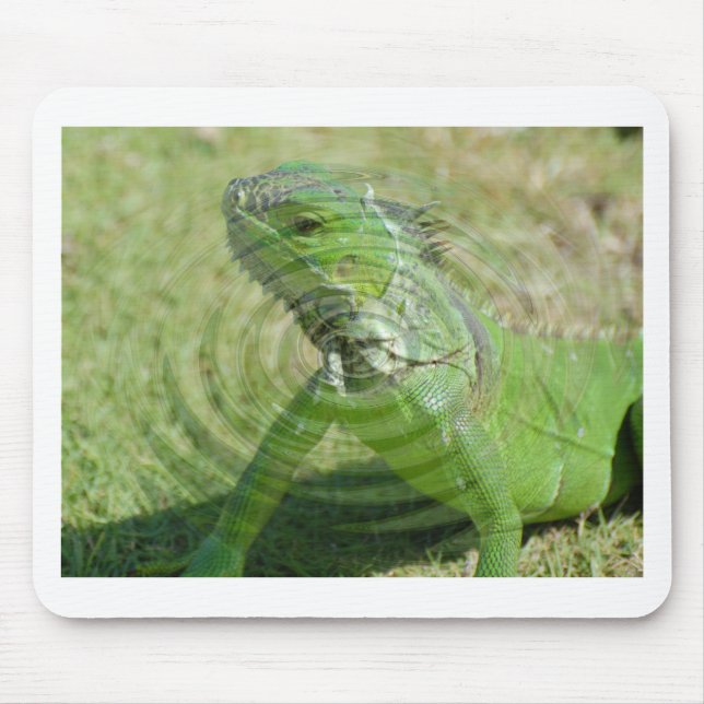 The Green Iguana Mouse Mat (Front)