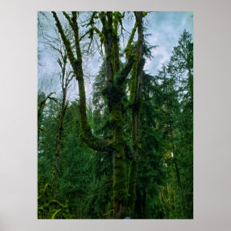 The Green in the Trees Poster