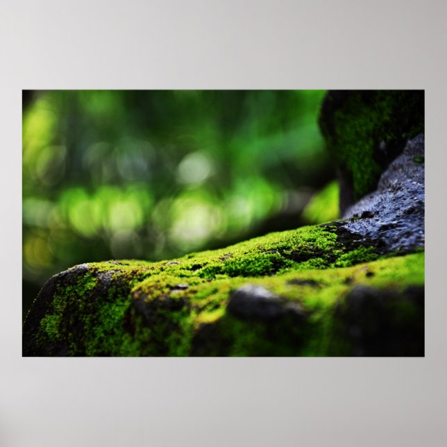 The green life poster (Front)