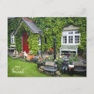 The Green of Westport - Ireland Postcard