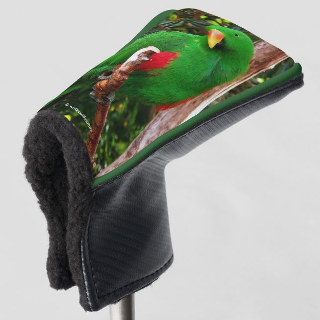 "The Green Orator" Eclectus Parrot Golf Head Cover (3/4 Front)