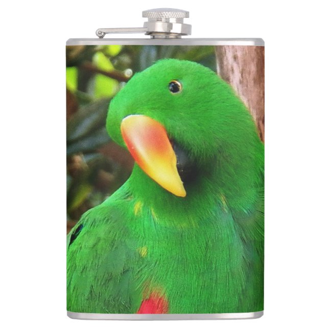 "The Green Orator" Eclectus Parrot Hip Flask (Front)