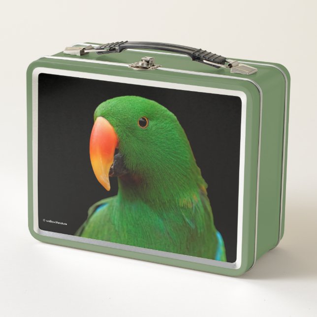 "The Green Orator" Eclectus Parrot Metal Lunch Box (Front)