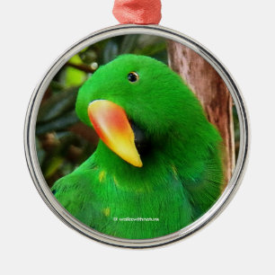 "The Green Orator" Eclectus Parrot Metal Tree Decoration