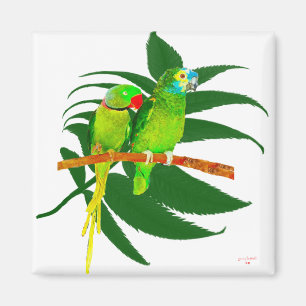 The Green Parrots Gifts Magnet