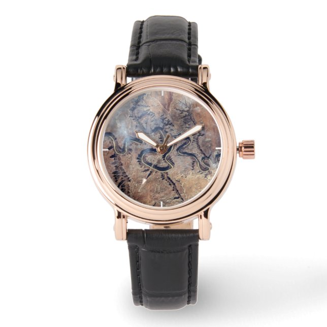 The Green River And Its Tributary Canyons In Utah Watch (Front)