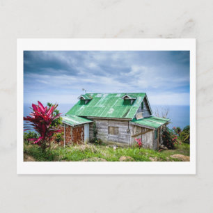 the green roof postcard