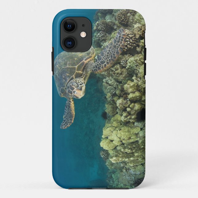 The Green Sea Turtle, (Chelonia mydas), is the 2 Case-Mate iPhone Case (Back)
