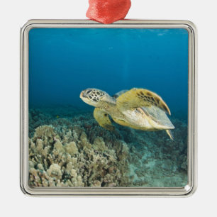 The Green Sea Turtle, (Chelonia mydas), is the 3 Metal Tree Decoration