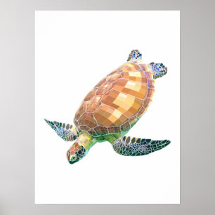 The Green Sea Turtle (Colored) Poster