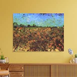 The Green Vineyard by Vincent van Gogh Canvas Print