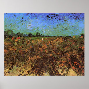 The Green Vineyard by Vincent van Gogh Poster