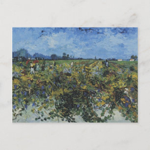 The Green Vineyard, Vincent Van Gogh Postcard