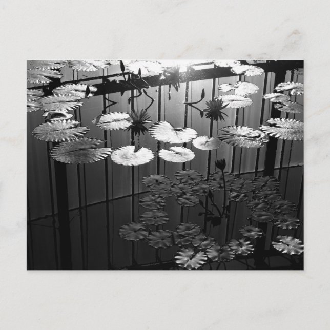 The Greenhouse: Shinjuku Gyoen, Tokyo Postcard (Front)