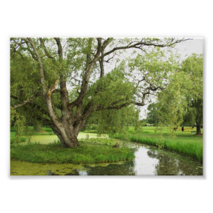 The Greens of Grand Pre Photo Print