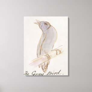 The Grey Bird, from 'Sixteen Drawings of Comic Bir Canvas Print