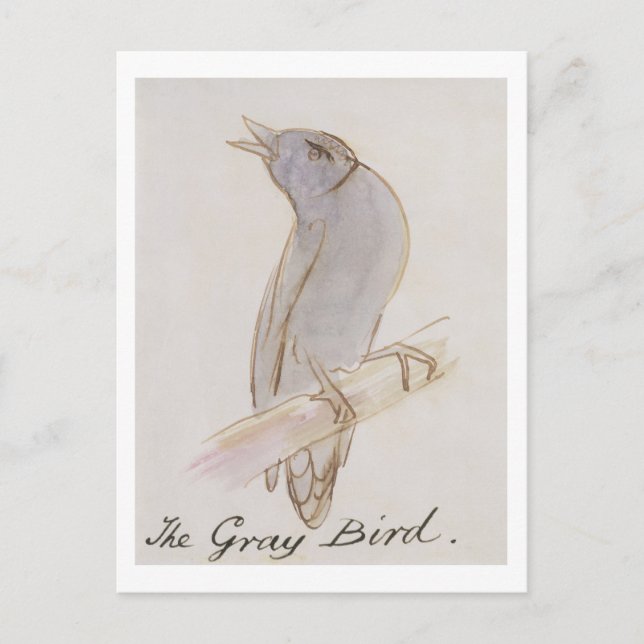 The Grey Bird, from 'Sixteen Drawings of Comic Bir Postcard (Front)