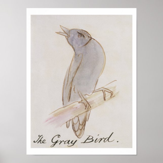 The Grey Bird, from 'Sixteen Drawings of Comic Bir Poster (Front)