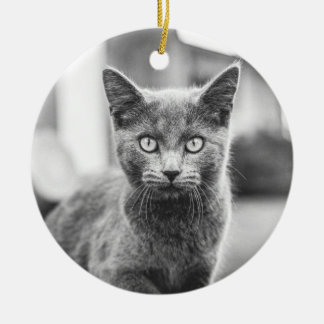 The grey Cat Ceramic Tree Decoration