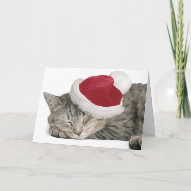 The Grey Cat Sleeps In A New Year's Cap Holiday Card (Front)