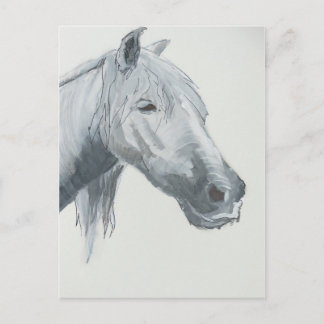 The Grey Gaze Postcard