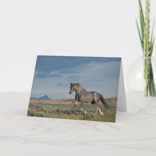 "The Grey Ghost" Note Card (Front)