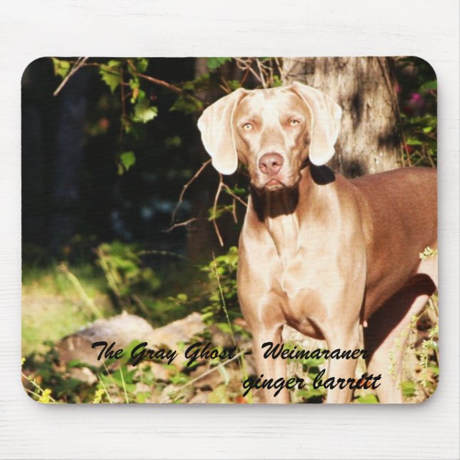 The Grey Ghost - Weimaraner, ginger ... Mouse Mat (Front)