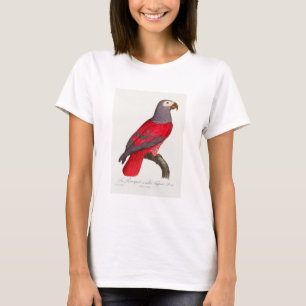 The Grey Red Parrot, Psittacus erithacus T-Shirt