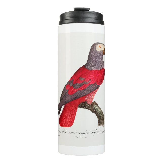 The Grey Red Parrot, Psittacus erithacus Thermal Tumbler (Front)