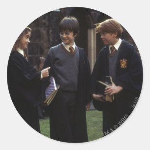 The group outside of Hogwarts Classic Round Sticker
