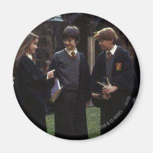 The group outside of Hogwarts Magnet