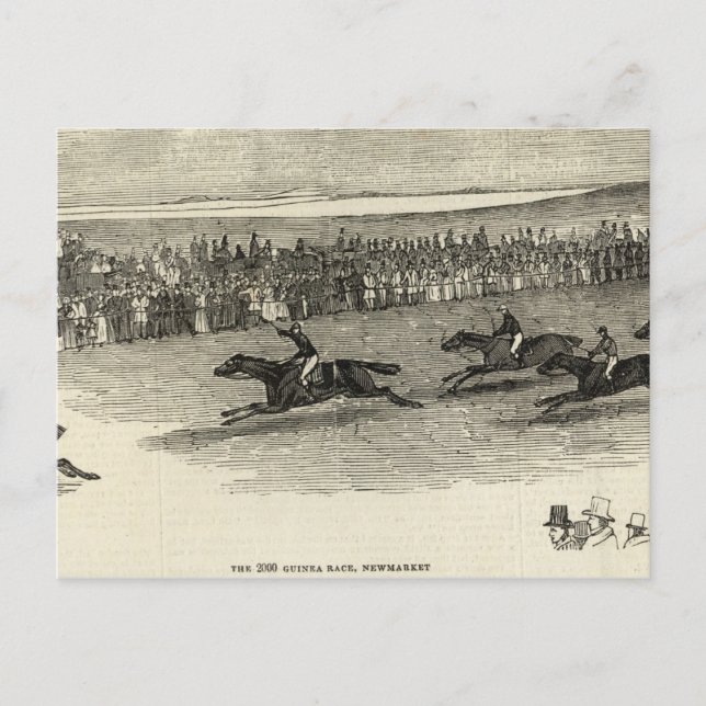 The Guinea Race, Newmarket Postcard (Front)