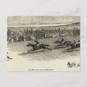 The Guinea Race, Newmarket Postcard