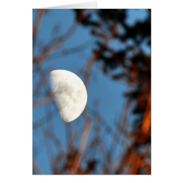 The Half Moon through Barren Branches (Front)