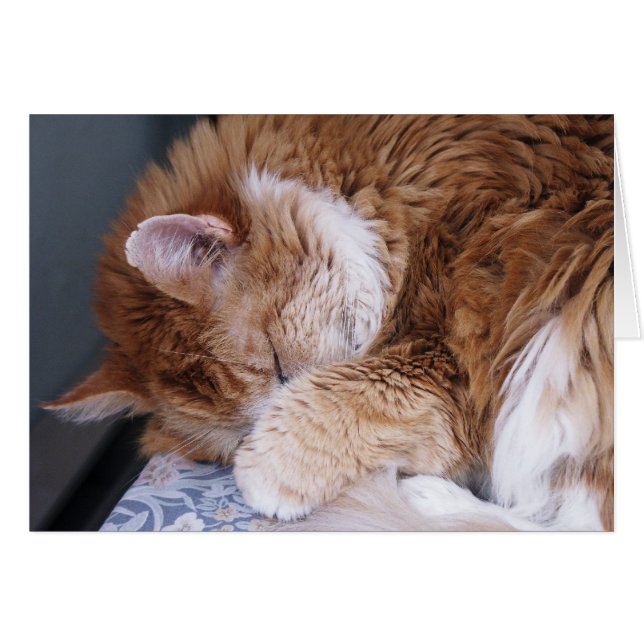 The Halleluiah (Front Horizontal)