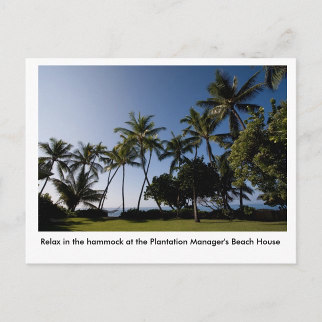 The hammock at the Plantation Manager's House Postcard (Front)