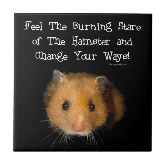 The Hamster Stare Tile (Front)